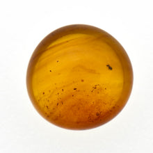画像をギャラリービューアに読み込む, 久慈原産琥珀原石(研磨済)