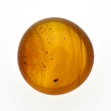 画像をギャラリービューアに読み込む, 久慈原産琥珀原石(研磨済)