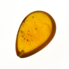 画像をギャラリービューアに読み込む, 久慈原産琥珀原石(研磨済)