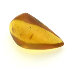 画像をギャラリービューアに読み込む, 久慈原産琥珀原石(研磨済)