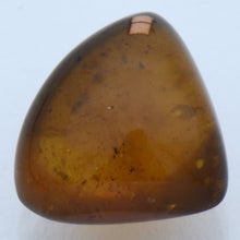 画像をギャラリービューアに読み込む, 久慈原産琥珀原石(研磨済)
