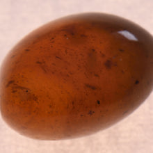 画像をギャラリービューアに読み込む, 久慈原産琥珀原石(研磨済)