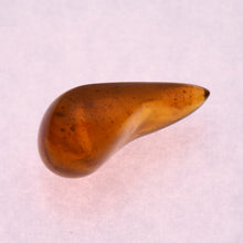 画像をギャラリービューアに読み込む, 久慈原産琥珀原石(研磨済)