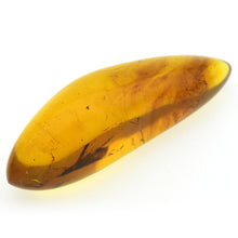 画像をギャラリービューアに読み込む, 久慈原産琥珀原石(研磨済)