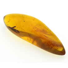 画像をギャラリービューアに読み込む, 久慈原産琥珀原石(研磨済)