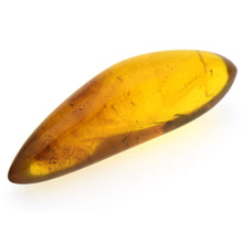 画像をギャラリービューアに読み込む, 久慈原産琥珀原石(研磨済)