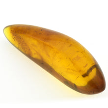 画像をギャラリービューアに読み込む, 久慈原産琥珀原石(研磨済)