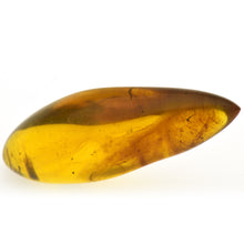 画像をギャラリービューアに読み込む, 久慈原産琥珀原石(研磨済)