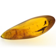 画像をギャラリービューアに読み込む, 久慈原産琥珀原石(研磨済)