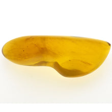 画像をギャラリービューアに読み込む, 久慈原産琥珀原石(研磨済)