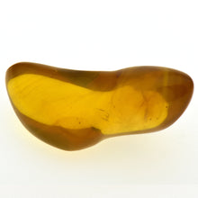 画像をギャラリービューアに読み込む, 久慈原産琥珀原石(研磨済)
