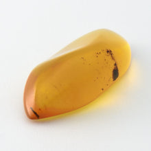 画像をギャラリービューアに読み込む, 久慈原産琥珀原石(研磨済)