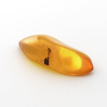 画像をギャラリービューアに読み込む, 久慈原産琥珀原石(研磨済)