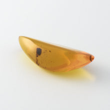 画像をギャラリービューアに読み込む, 久慈原産琥珀原石(研磨済)