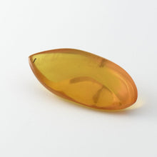 画像をギャラリービューアに読み込む, 久慈原産琥珀原石(研磨済)
