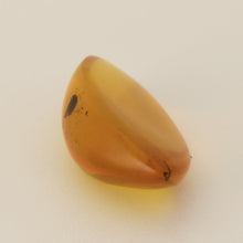 画像をギャラリービューアに読み込む, 久慈原産琥珀原石(研磨済)