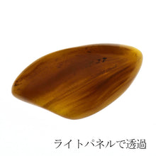 画像をギャラリービューアに読み込む, 久慈原産琥珀原石(研磨済)(水・空気入)