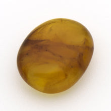 画像をギャラリービューアに読み込む, 久慈原産琥珀原石(研磨済)