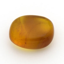 画像をギャラリービューアに読み込む, 久慈原産琥珀原石(研磨済)