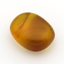 画像をギャラリービューアに読み込む, 久慈原産琥珀原石(研磨済)