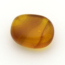 画像をギャラリービューアに読み込む, 久慈原産琥珀原石(研磨済)
