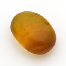 画像をギャラリービューアに読み込む, 久慈原産琥珀原石(研磨済)