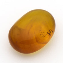 画像をギャラリービューアに読み込む, 久慈原産琥珀原石(研磨済)