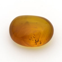 画像をギャラリービューアに読み込む, 久慈原産琥珀原石(研磨済)