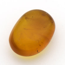 画像をギャラリービューアに読み込む, 久慈原産琥珀原石(研磨済)