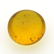 画像をギャラリービューアに読み込む, 久慈原産琥珀原石(研磨済)