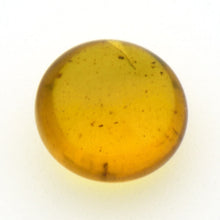 画像をギャラリービューアに読み込む, 久慈原産琥珀原石(研磨済)