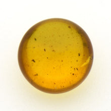 画像をギャラリービューアに読み込む, 久慈原産琥珀原石(研磨済)