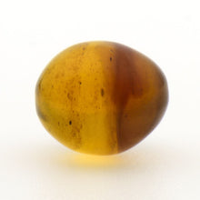 画像をギャラリービューアに読み込む, 久慈原産琥珀原石(研磨済)