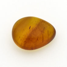 画像をギャラリービューアに読み込む, 久慈原産琥珀原石(研磨済)