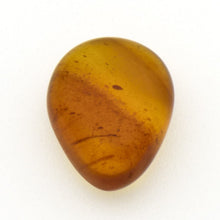 画像をギャラリービューアに読み込む, 久慈原産琥珀原石(研磨済)