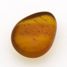 画像をギャラリービューアに読み込む, 久慈原産琥珀原石(研磨済)