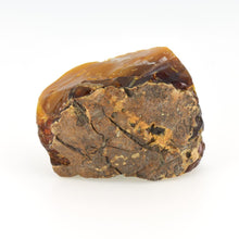 画像をギャラリービューアに読み込む, 久慈原産琥珀原石(未研磨)