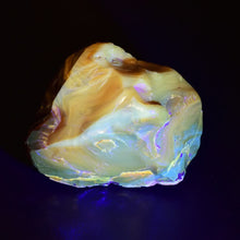 画像をギャラリービューアに読み込む, 久慈原産琥珀原石(未研磨)