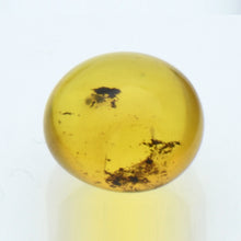 画像をギャラリービューアに読み込む, 久慈原産琥珀原石(研磨済)