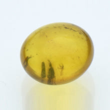 画像をギャラリービューアに読み込む, 久慈原産琥珀原石(研磨済)