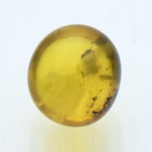 画像をギャラリービューアに読み込む, 久慈原産琥珀原石(研磨済)