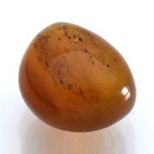 画像をギャラリービューアに読み込む, 久慈原産琥珀原石(研磨済)