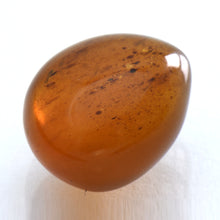 画像をギャラリービューアに読み込む, 久慈原産琥珀原石(研磨済)