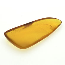 画像をギャラリービューアに読み込む, 久慈原産琥珀原石(研磨済)
