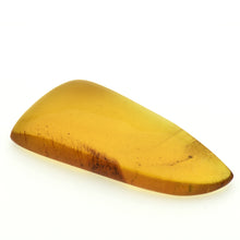画像をギャラリービューアに読み込む, 久慈原産琥珀原石(研磨済)