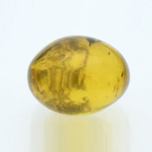 画像をギャラリービューアに読み込む, 久慈原産琥珀原石(研磨済)