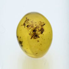 画像をギャラリービューアに読み込む, 久慈原産琥珀原石(研磨済)