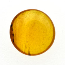 画像をギャラリービューアに読み込む, 久慈原産琥珀原石（研磨済）
