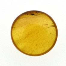 画像をギャラリービューアに読み込む, 久慈原産琥珀原石（研磨済）
