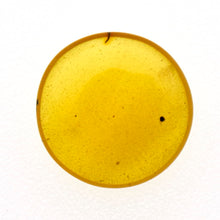 画像をギャラリービューアに読み込む, 久慈原産琥珀原石（研磨済）
